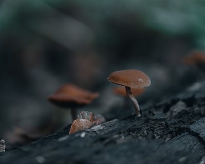 图聚科技